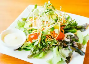 Fresh Garden Salad 